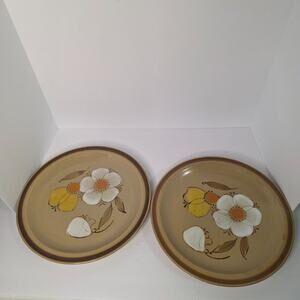 vintage Hearthside stoneware dinner plates in the "Dogwood" pattern 2 Set